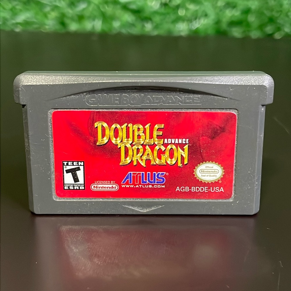 GameBoy Advance DOUBLE DRAGON 🐉
